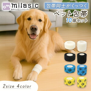 N[|p800~`yMILASICz ybg  tbNX e[sO 2.5cm 5cm 10 Zbg  L ybgtbNX e[sOe[v S Lk p Lp    Ȃߖh~ 