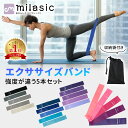 【楽天1位 MILASIC公式】エクササイズバンド バンド 5本セット ゴムチューブ エクササイズ 筋トレ トレーニング トレ…