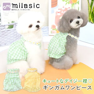 yr[eł1v[gIzyMILASICz  s[X  p ԃs[X ^ ĕ ԕ [X VA[f  MK`FbN   ̎q hbOE