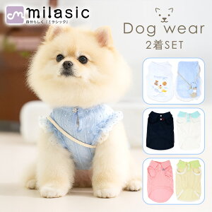 N[|p1519~yMILASICz hbOEFA 2Zbg |Vc ꒅ p oĕ  ĕ t ybgEFA  ʋC Sn  킢 X|[cEFA