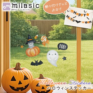 yMILASICz nEB XebJ[ ܂t \  EH[XebJ[ |bv A ͂  pvL RE  킢 LfB[ ΂ َq X