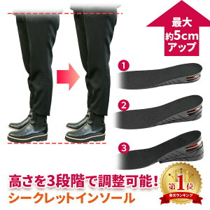 ymitaszV[NbgC\[ 22.5cm`27.0cm fB[X Y ő5cm OiK j  V[Nbg \  u[c Xj[J[ r r  グ  