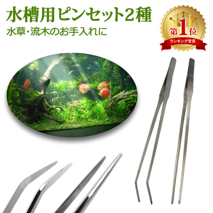楽天市場 ピンセット ステンレス 2本セット 水槽 ストレート カーブ 水槽用ピンセット2種 水草 ロングサイズ 27cm 水草用ピンセット ロング アクアリウム ハーバリウム テラリウム 水槽 掃除 熱帯魚 メダカ Er Twzr Mitas