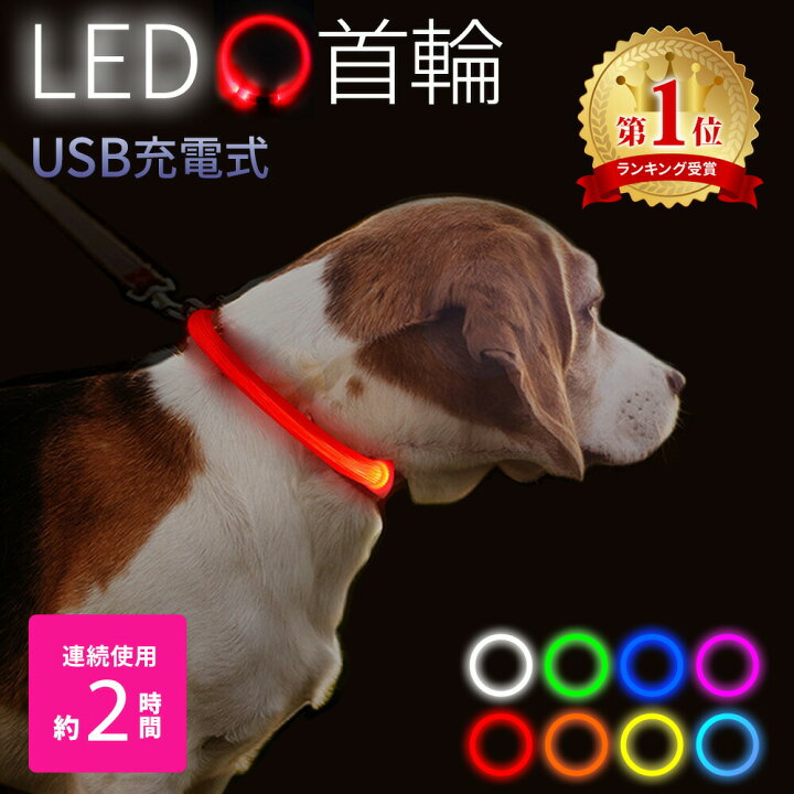犬 猫 光る 首輪 LEDライト M中型犬