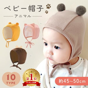 yMILASICzxr[Xq xr[{lbg ԂXq t Xq 킢 wA[ANZT[ xr[Xq nbg {{ V c Ԃ j̎q ̎q ł  V