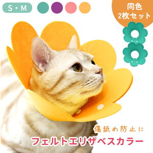 yMILASICzGUxXJ[ tFg L 2Zbg tFgGUxXJ[ ybg p  킢 \tg    Ђ r r h~   XgXy