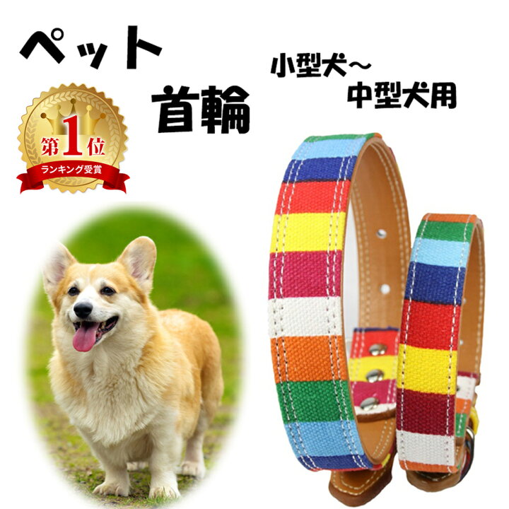 楽天市場 犬 首輪 Mサイズ Sサイズ かわいい 中型犬 小型犬 Puレザー 犬の首輪 犬首輪 可愛い おしゃれ Er Clar Mitas