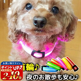 【処分セール】犬 首輪 光る 光る首輪 LED キラキラ光るバンド S/M/Lサイズ アームバンド 夜間 散歩 ジョギング ウォーキング きらきらバンド 事故防止 交通安全