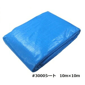 u[V[g 10m×10m 1 3000ԃu[V[g W{V[g 