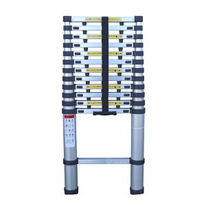 Lk͂ 3.8m A~ 苲ݖh~Xgbp[t @ll著 ll͕ʓr