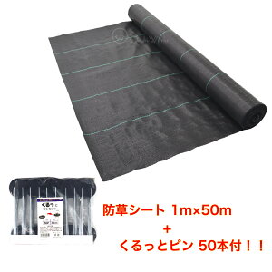 hV[g 1m×50m ƃs50{t Gh~V[g 悯V[g