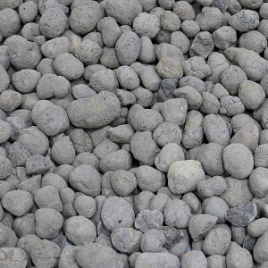 Z~bNhƍ 60L EXBJ-60L hƑ΍ hƃW Z~bNX O\ hƃObY hƗpi Nh~ ̏o鍻