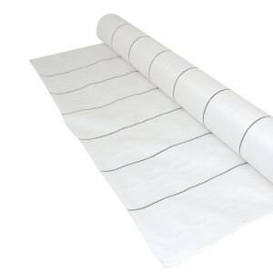 hV[g zCg 2m×50m iϗpN3Nj 135g/m2  悯V[g UV܁ERۍܓ @ll llʓr