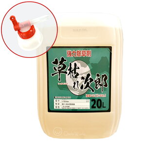 ͂ꎟY 20L pmYRbNt  _knp G΍