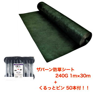 Uo[hV[g ƃs50{t 240G 1m×30m O[ f|  hV[g