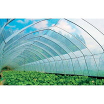 楽天市場】農ビ 100mの通販