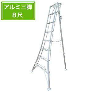 �@�l�l���� ���|�p�A���~�O�r 8�� 240cm �A���~�O�r ���|�A���~�O�r
