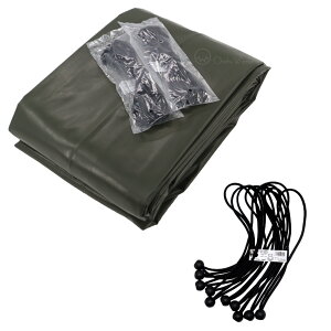 oW[R[h 10{t gbNV[g OD 4 2.66m×4.6m hF GXez 2tOgbN בJo[ בV[g 