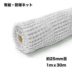 Stlbg [ 1m×30m 25mm  StKplbg |lbg hblbg