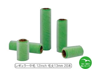 ˍѐ [v[[ 13~ M[ 12RPB 12"[160111 0012] 20{ E^hhރ[[ G|LVh[[