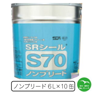TCY SRV[S70 6Lʁ@qƌnTCfBO@ALC̖ڒn@1ʒPʂňقȂFw@܂Ƃߔł@lzs@zԎws