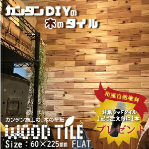 Ebh^C tbgfUC 60mm×225mm 74i1āj Ygp 12mm
