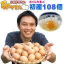 初産み卵◇美人になれるかも!お肌にもオススメ♪にわとりの産みだし初産み卵!80個+破損保証おまけ28個 今回はS〜M(小さめ)サイズのカワイイ産みだし卵です