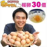 さくらたまご30個入