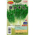 2月に種まき！家庭菜園で育てる、おすすめの野菜の種は？