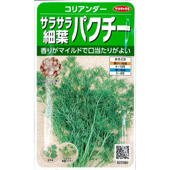 楽天市場 サカタのタネ コリアンダー 種子 コリアンダー 小袋 9ml 規格 種 野菜種 セリ科 コエンドロ属 パクチー サラサラ細葉パクチー 細葉 ドラゴン 種の家 楽天市場店