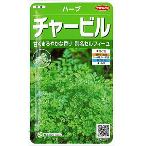 チャービル 種の人気商品 通販 価格比較 価格 Com