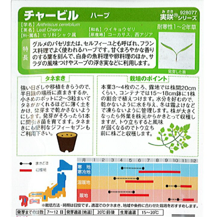 楽天市場 サカタのタネ ハーブ 種子 チャービル 小袋 5 9ml 規格 種 野菜種 セリ科 シャク属 ウイキョウセリ セルフィーユ グルメのパセリ ハーブティー スープ 魚料理 卵料理 フランス料理 種の家 楽天市場店