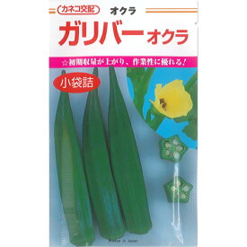 カネコ種苗 オクラ 種子 「 ガリバー 」 小袋 6.4ml 規格 種 野菜種 緑 夏野菜 五角 五角オクラ ねばねば 2月 4月 5月 7月 10月 11月