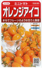 サカタのタネ トマト種子 「 オレンジアイコ 」 小袋 13粒 規格 トマト 種 種子 ミニトマト ミニ トマト オレンジ プラム つくりやすい 割れにくい ゼリーが少ない