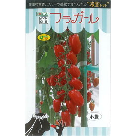 トキタ種苗 トマト 種子 「フラガール」 小袋 8粒 規格 種 野菜の種 野菜種 ミニトマト 高糖度 トキタ