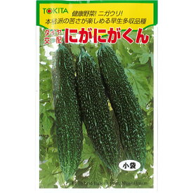 楽天市場 ツルレイシ 種の通販