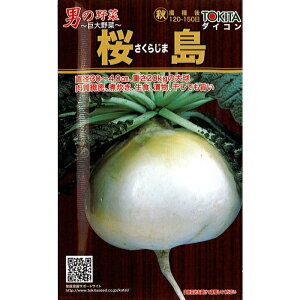 gL^ c _CR q u  v  8ml Ki 300 卪     j̖ V[Y 120`150 ϐ H Е _CR