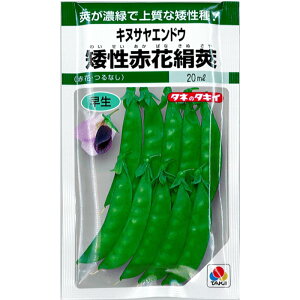 ^LC c LkTGhE q u␫ԉԌ䰁v  18ml Ki  ؎ ؎q ^LC琬 氓   Ȃ ԉ 10 11 3 