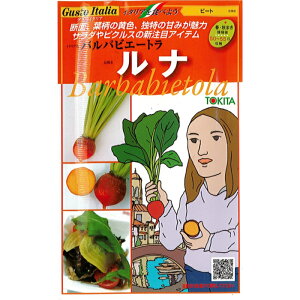 ビーツ 苗 農業資材 ガーデニング用品の人気商品 通販 価格比較 価格 Com