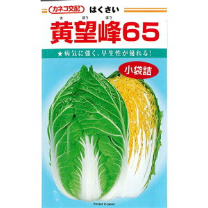 JlR c nNTC q u ]65 v  1ml Ki  ؎ ؎q  6 7 8 ܂ 9 10 11 n H c 65 1  ƒ؉