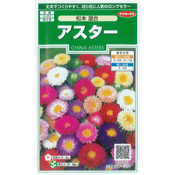 楽天市場 サカタのタネ 花 種子 アスター 松本 混合 小袋 1ml 規格 種 花種 キク科 エゾギク属 花壇 切り花 ミックス お盆育つ苗の本数 およそ 130本 種の家 楽天市場店