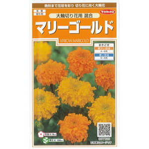 菊 種 種の人気商品 通販 価格比較 価格 Com 菊 種 種の人気商品 通販 価格比較 価格 Com