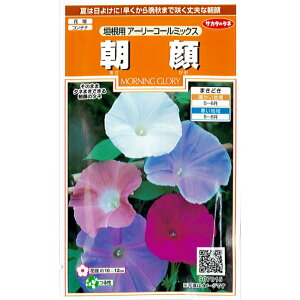 アサガオ 苗の人気商品 通販 価格比較 価格 Com アサガオ 苗の人気商品 通販 価格比較 価格 Com