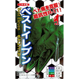 楽天市場 アカザ 花 ガーデン Diy の通販
