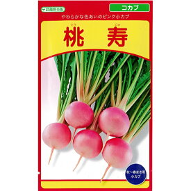 武蔵野 種苗園 カブ 種子 桃寿 (とうじゅ) 小袋（1ml）規格 種 野菜 野菜種 野菜種子 ピンク 蕪 白色 小蕪 コカブ 追跡可能メール便 送料無料