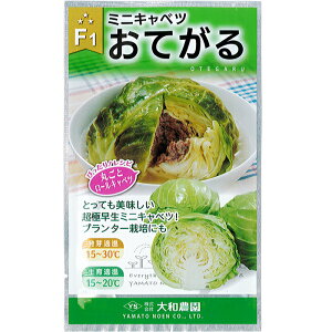 プランター 野菜 夏の人気商品 通販 価格比較 価格 Com