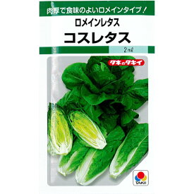 楽天市場 ロメインレタス 種 タキイの通販