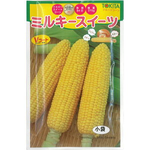 gL^c gERV q u~L[XC[cv  20ml Ki  XB[gR[ F ؎ Â 84 _炩