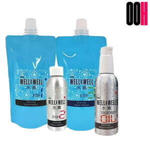 eBA[Y EGEG fg[ggVXe tZbg STEP 1 380gE2 100mLE3 380gE4 100mL g[gg VXe