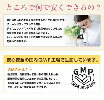糖質制限ダイエットサプリ『よくばりスリム30回分』120粒【送料無料】フォルスコリギムネマキトサン男性女性イヌリン食物繊維白インゲン豆生姜
